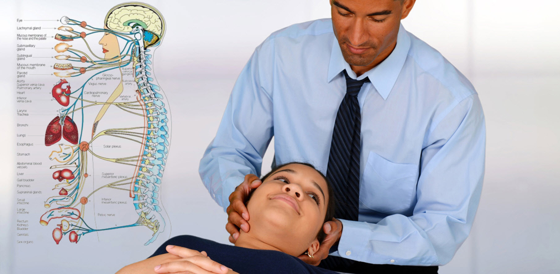 Chiropractor Services