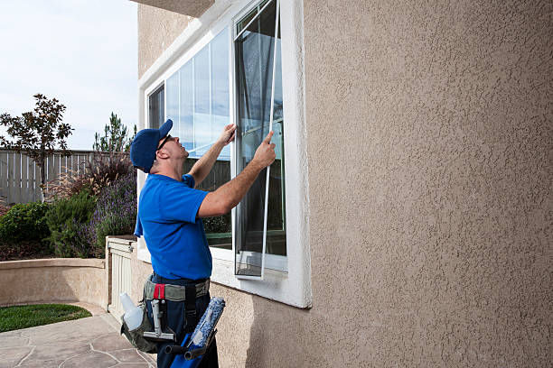 Window Screen Cleaning