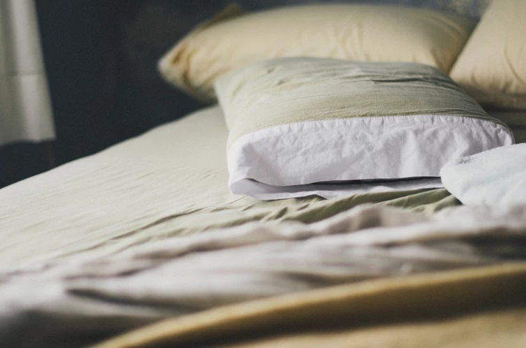 Bedbug Treatment