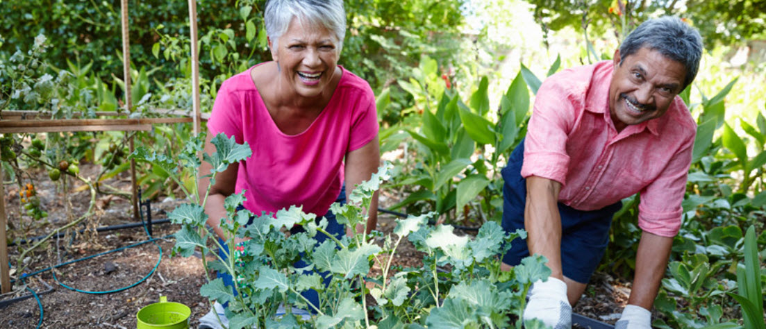 Multi-year guaranteed annuity