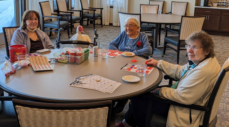 Bingo Nights