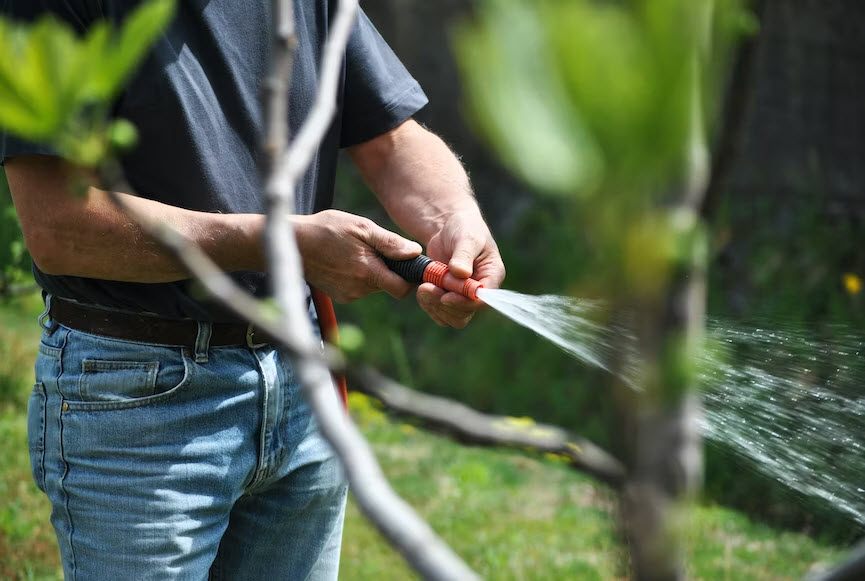 Irrigation Systems Installation & Maintenance