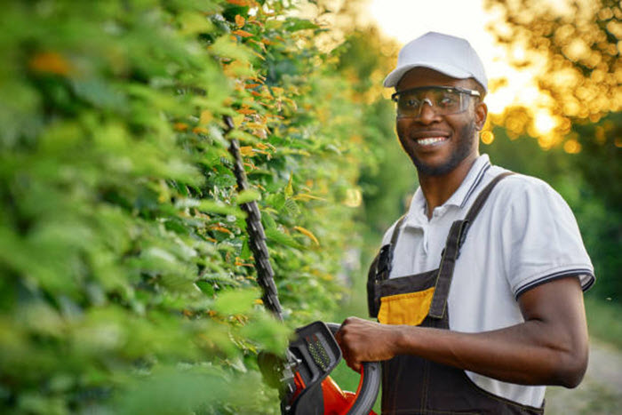 Tree & Shrub Care