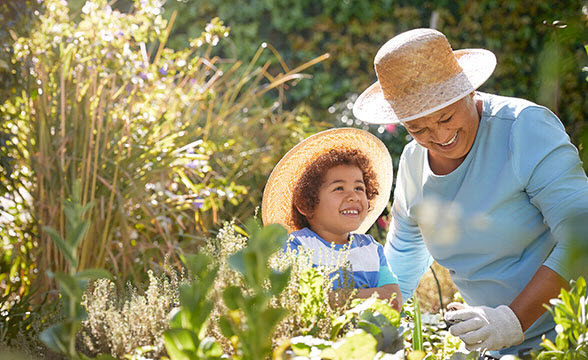 Individual Retirement Accounts (IRA)