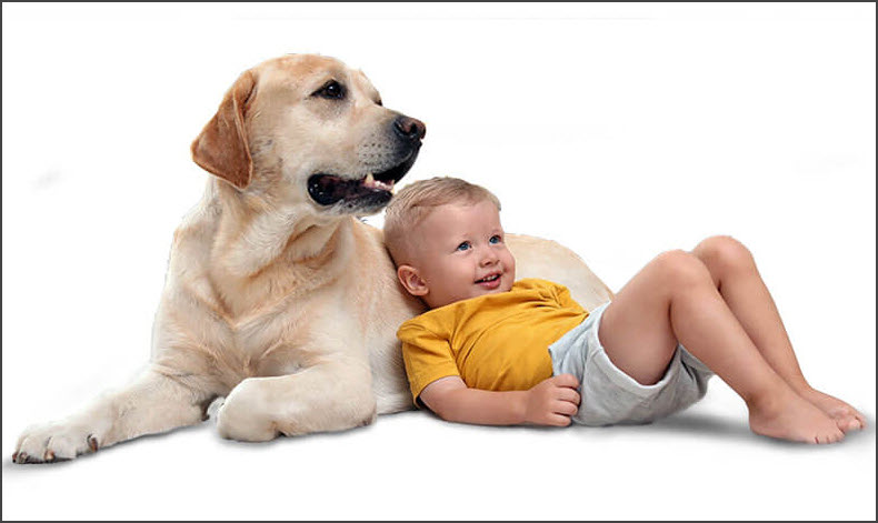 Kids & Dogs