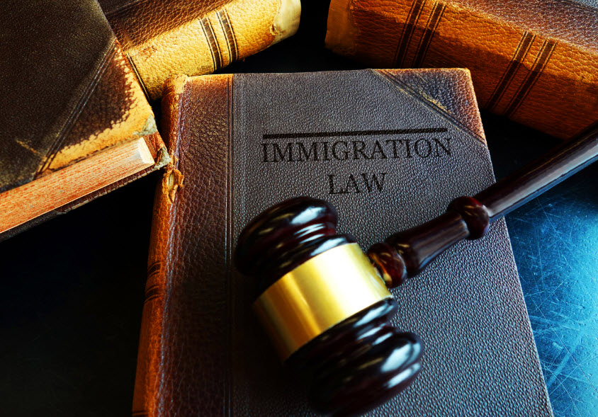 Immigration Law
