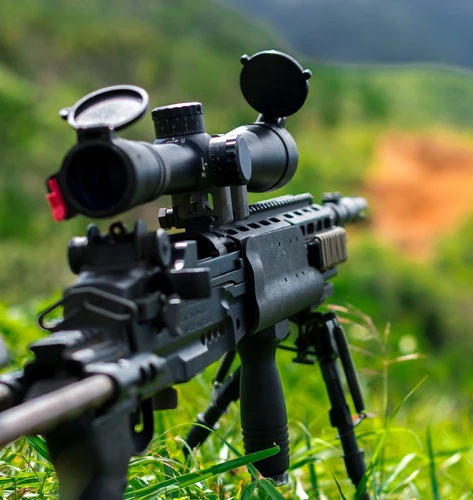 Firearm Law