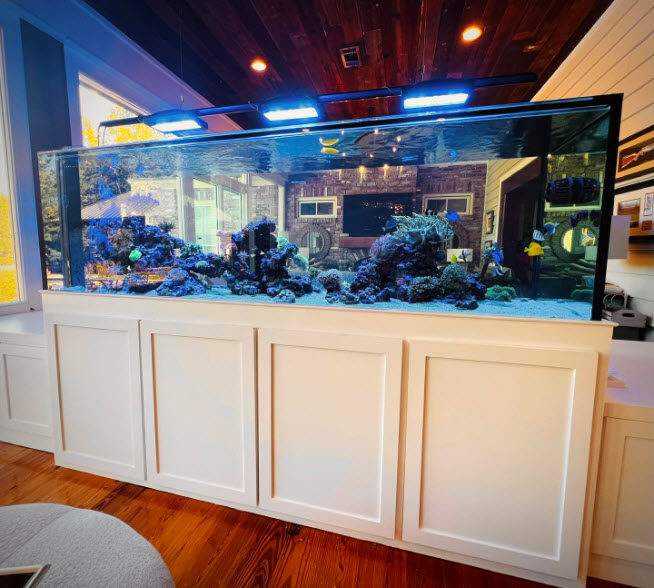 Aquarium Install