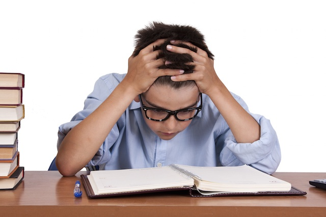 Literature Course