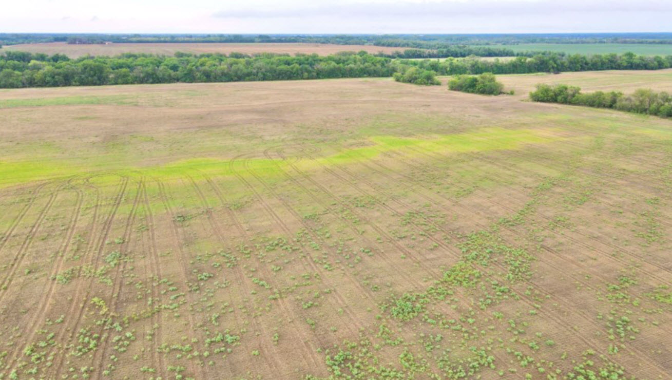 Land Property