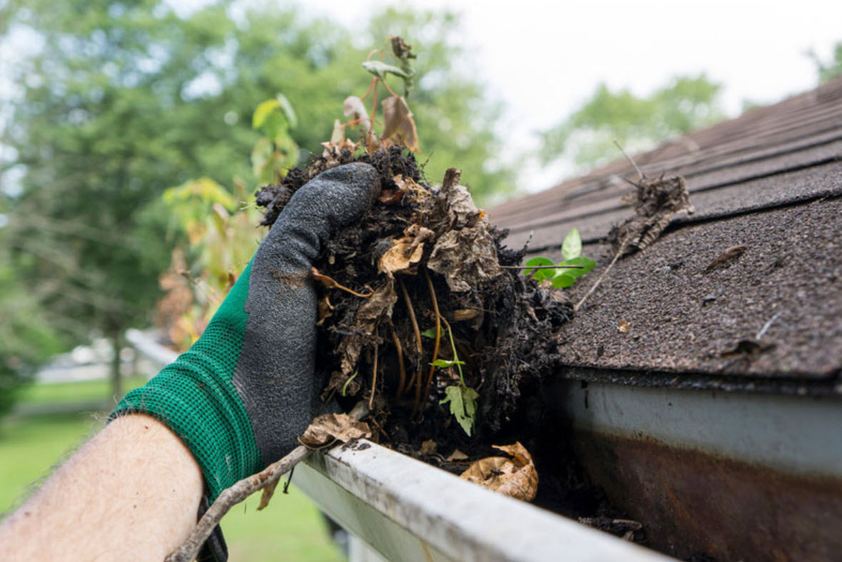 Gutter Cleaning