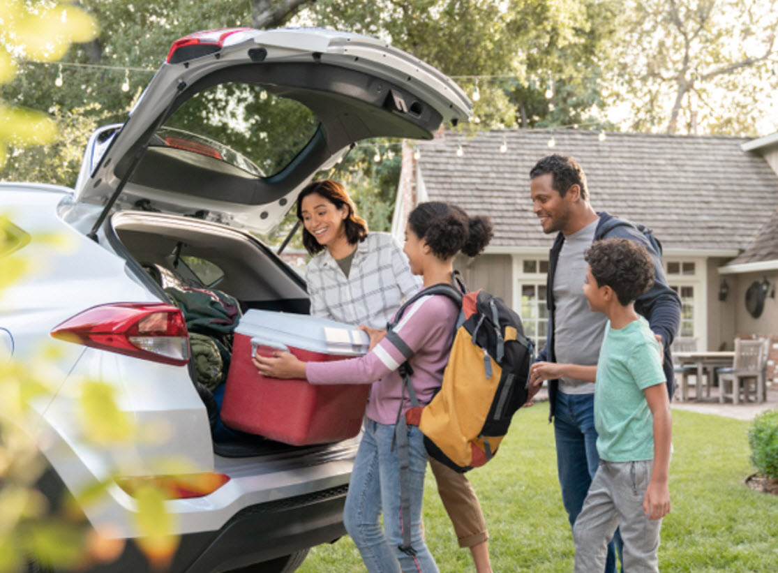 Car Insurance