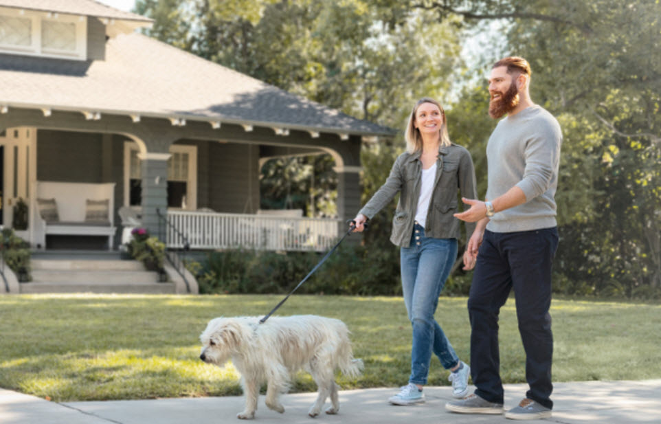 Pet Insurance