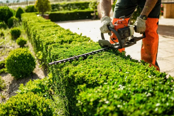 Lawn Maintenance