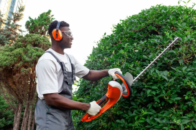 Tree and Shrub Care