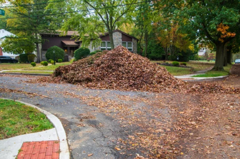 Seasonal Clean-Up