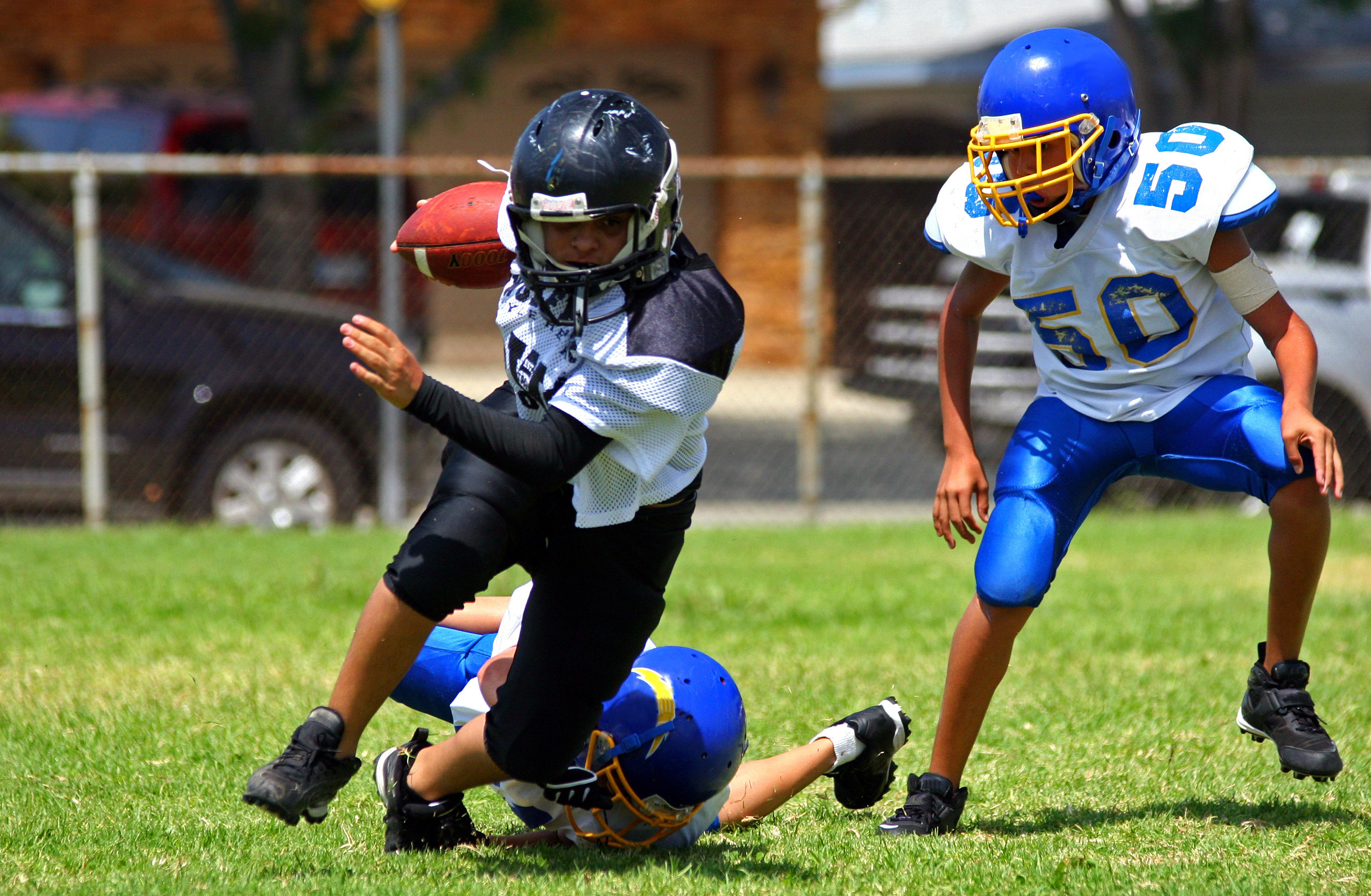 Sport Schedule