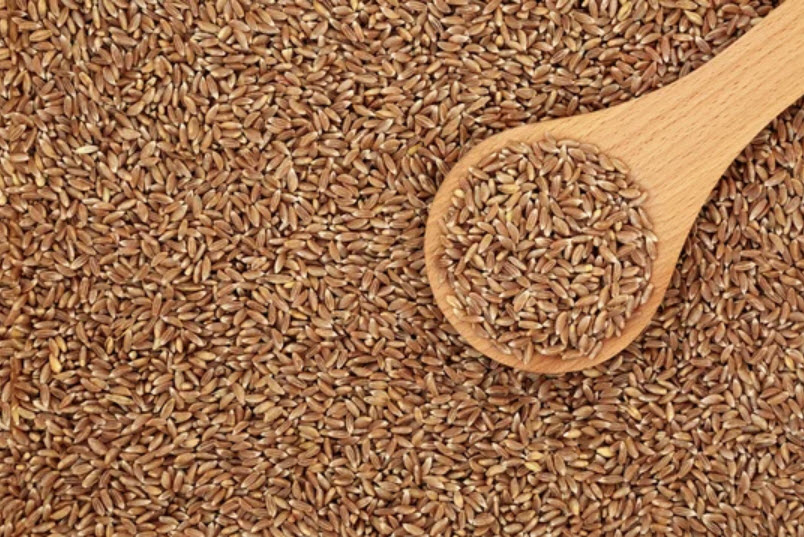 Premium Ingredient Sourcing