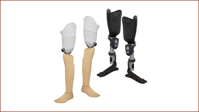 Knee Disarticulation