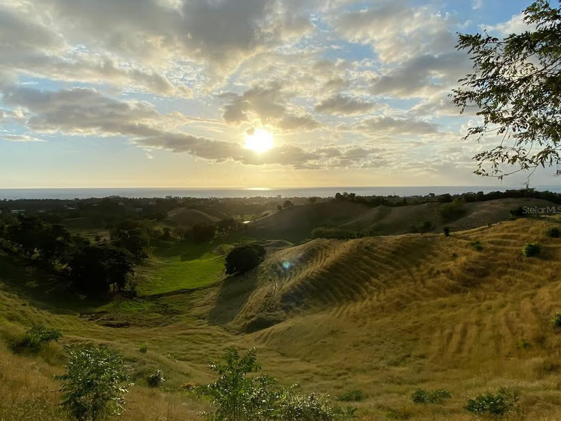 Land Property