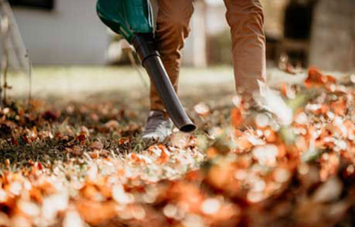 Fall Cleanup