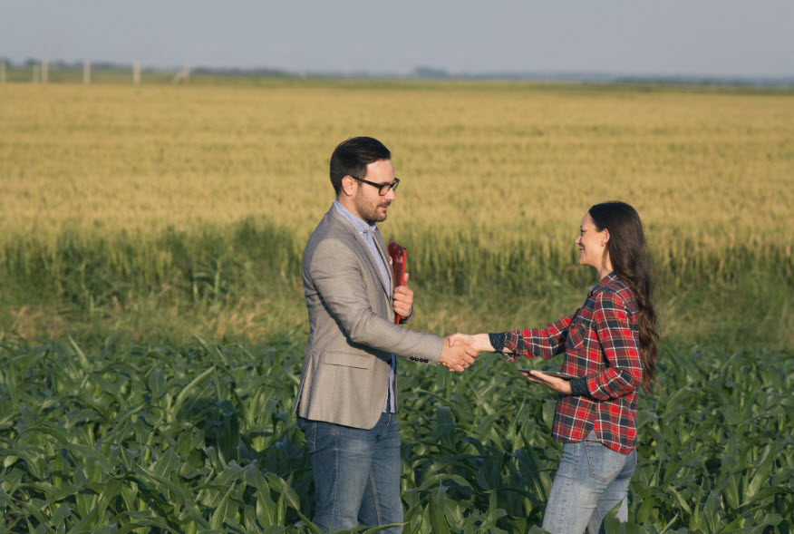 Land Acquisition and Development