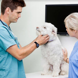 Appointments