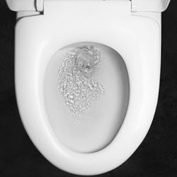 Emergency Plumbing Services