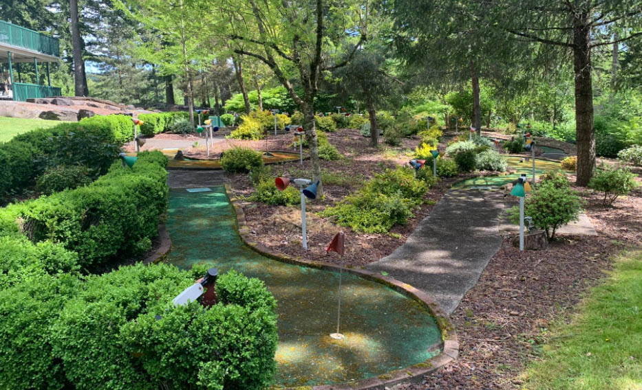 Landscape Design and Installation