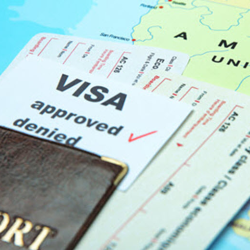 Immigration Services