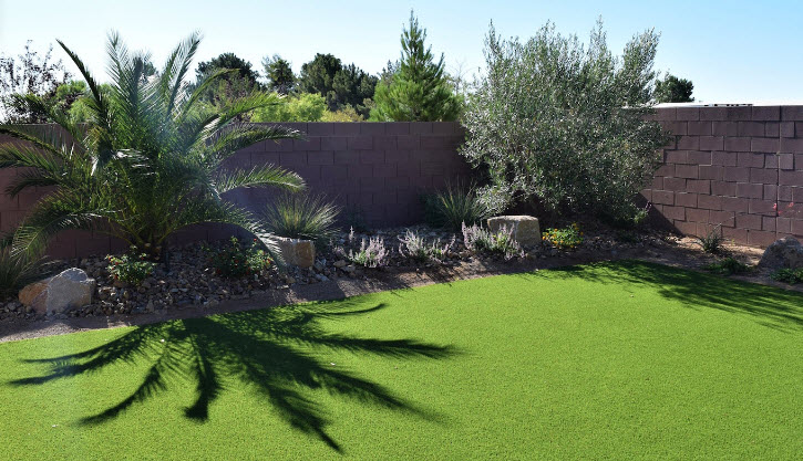 Artificial Grass and Turf