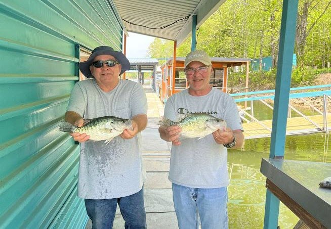 Cabin Rentals