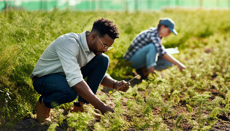  Seasonal & Farm Workers