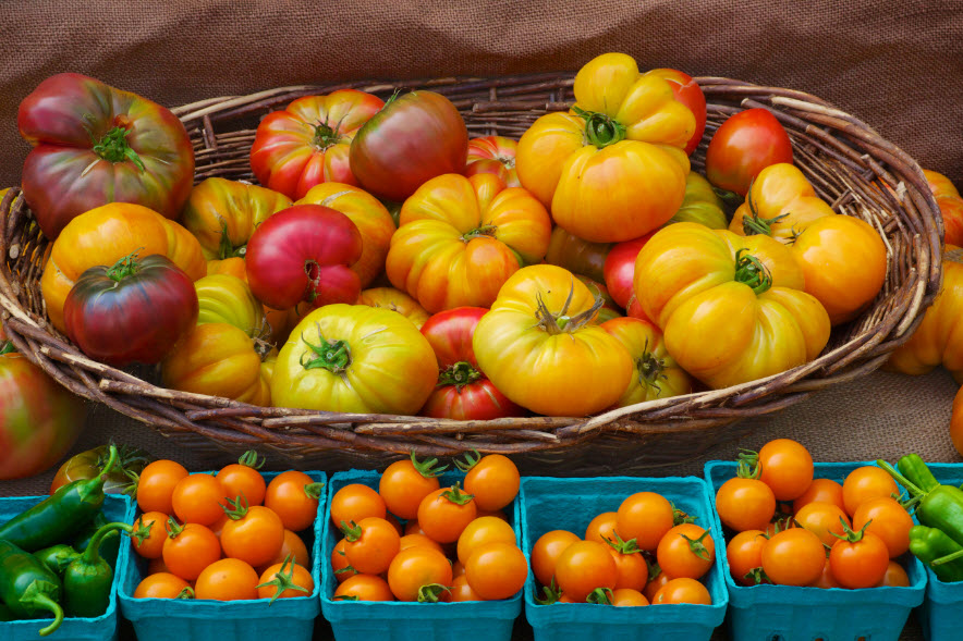 Heritage Heirloom Tomatoes
