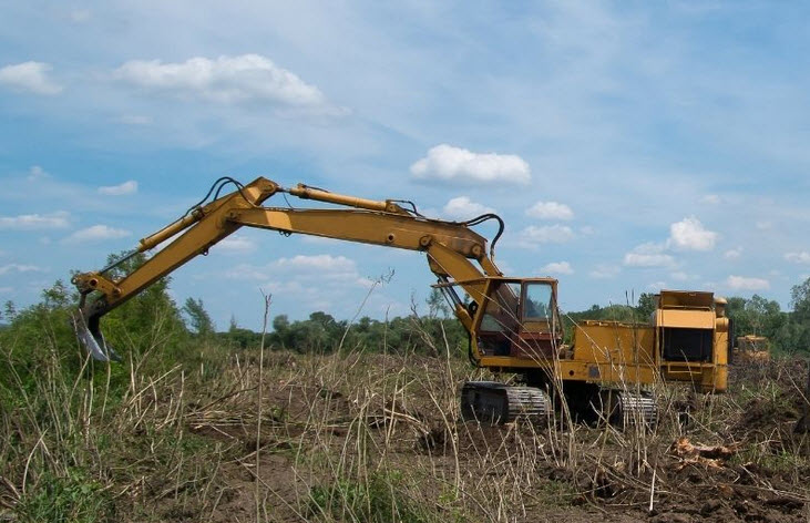  Land Clearing