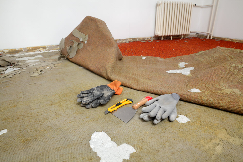 Carpet Removal