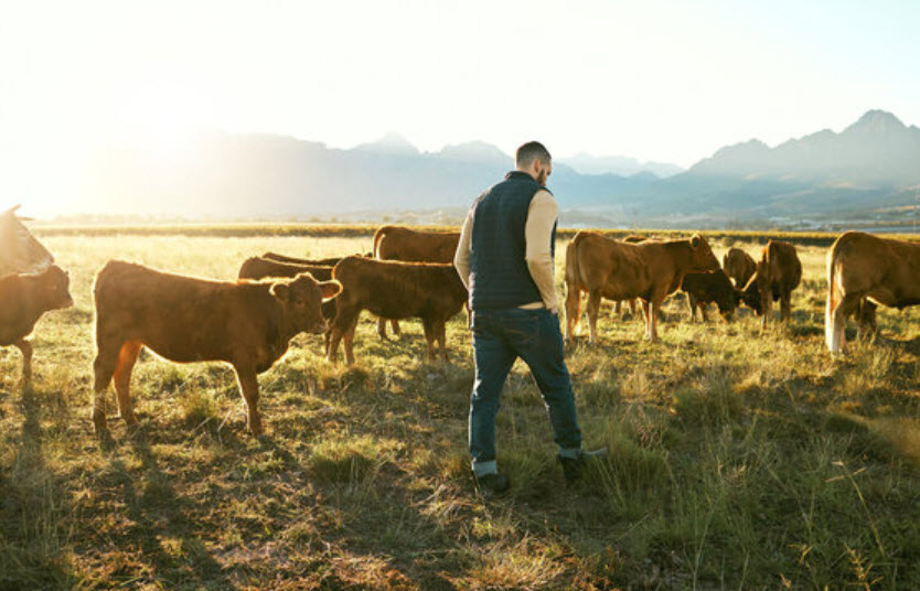 Dairy Sustainability Initiatives