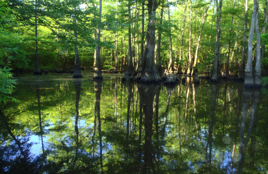 Environmental