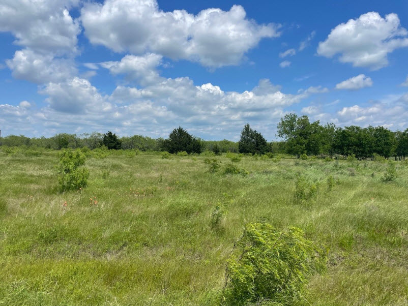 Lots/Land
