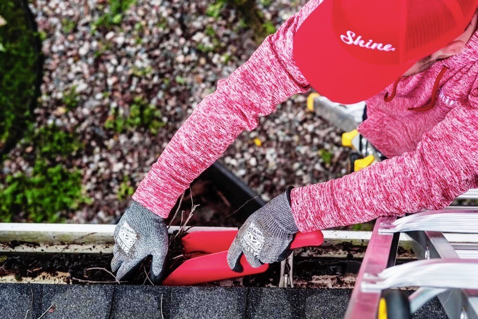 Gutter Cleaning