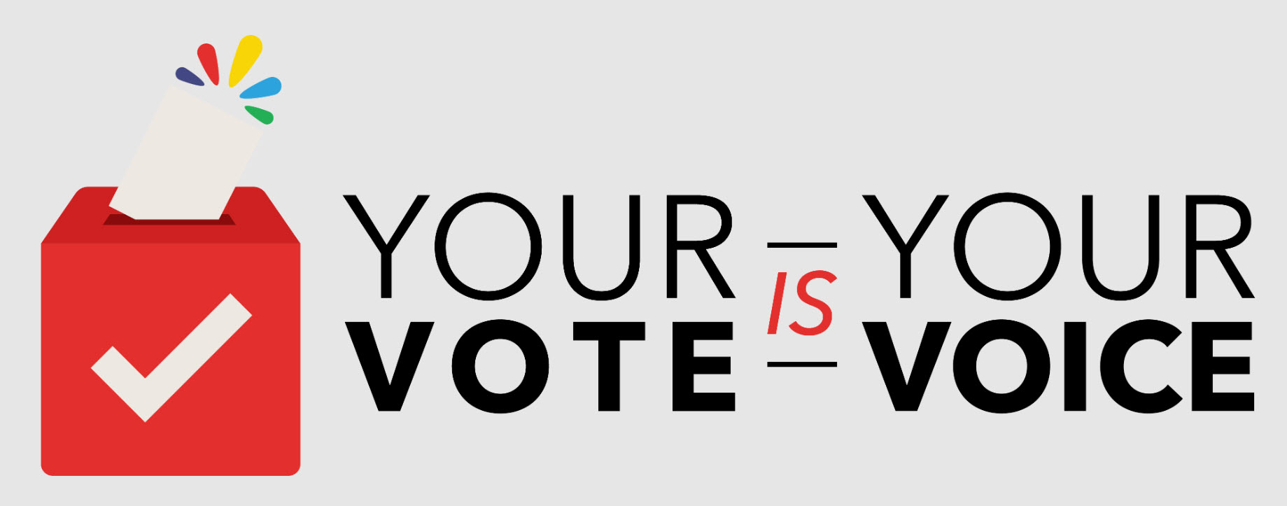 Your Vote is Your Voice