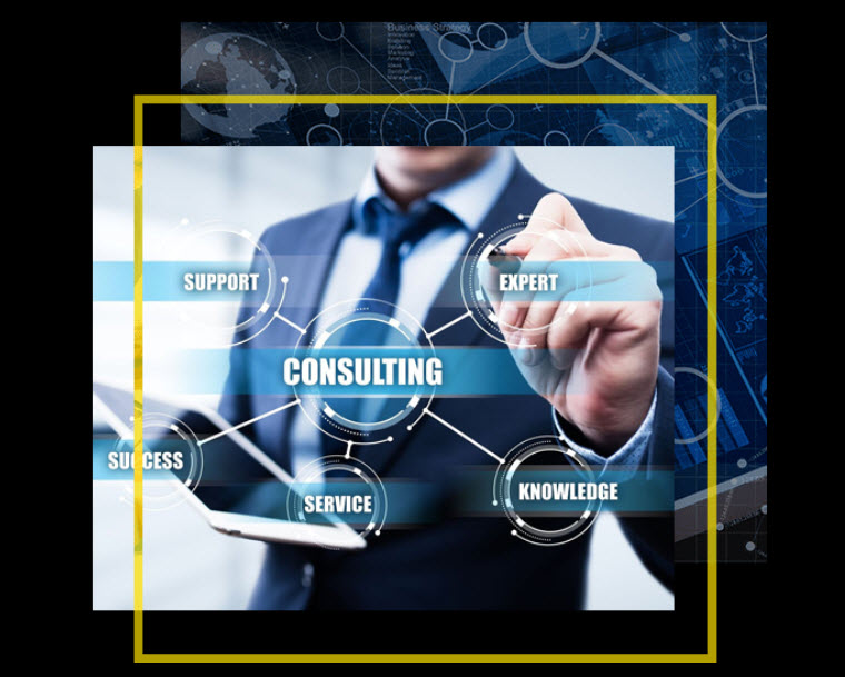 Consulting Services