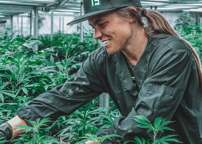 Cannabis and Fun