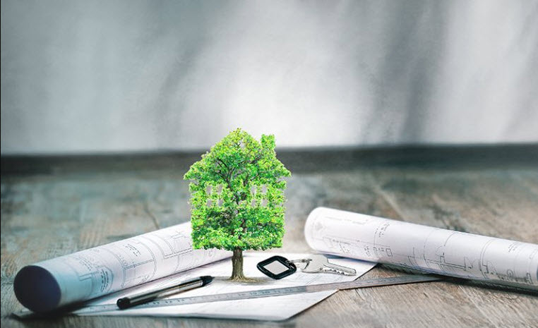 Trust and Estate Tax