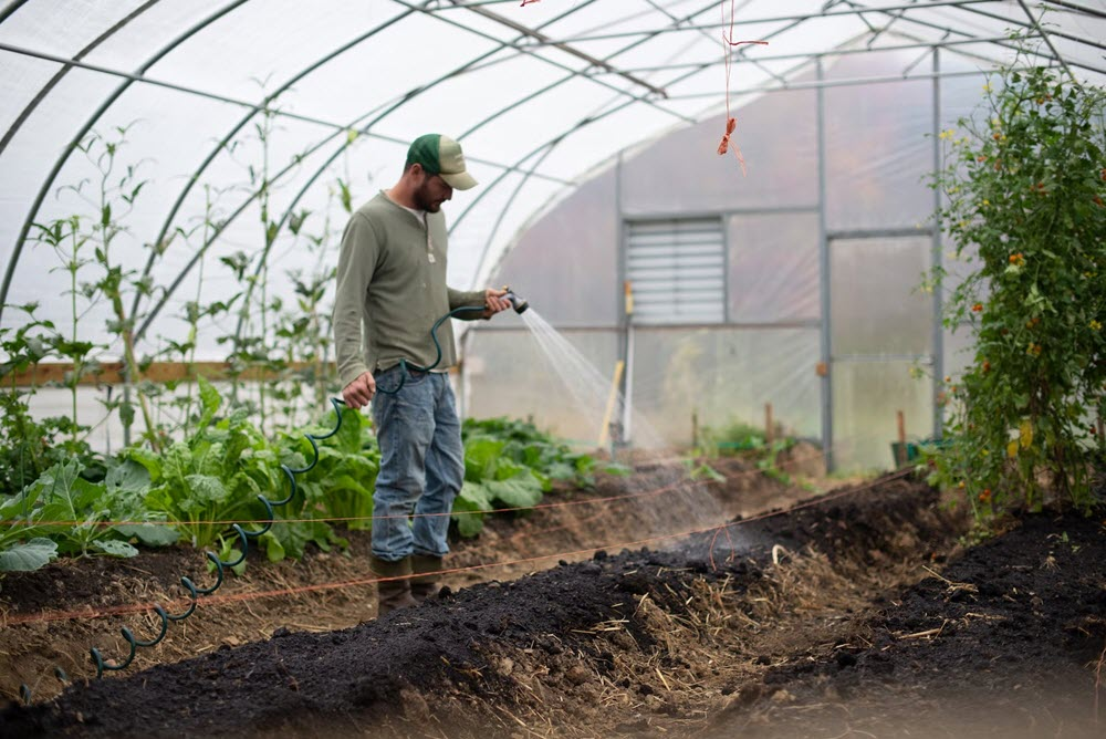 Irrigation & Water Resource Management