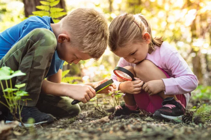 Outdoor Play and Exploration