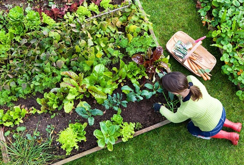 Agricultural Education Workshops