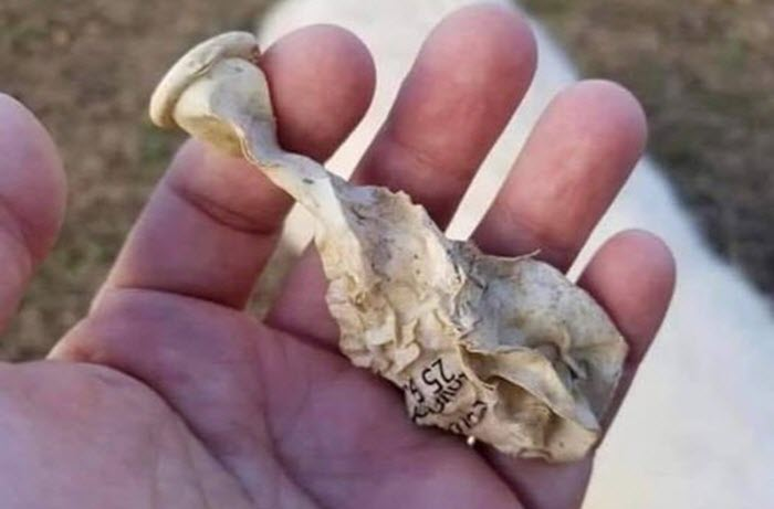 Advocacy for Rural Issues