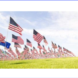 Flag Retirement