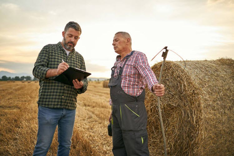 Hay Testing & Analysis